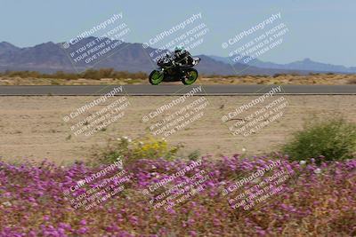 media/Mar-12-2023-SoCal Trackdays (Sun) [[d4c8249724]]/Turn 15 Inside Bloom (130pm)/